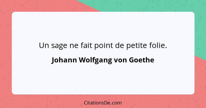 Un sage ne fait point de petite folie.... - Johann Wolfgang von Goethe