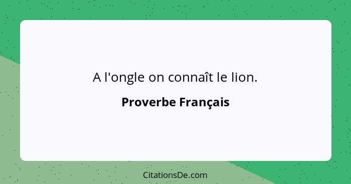 A l'ongle on connaît le lion.... - Proverbe Français