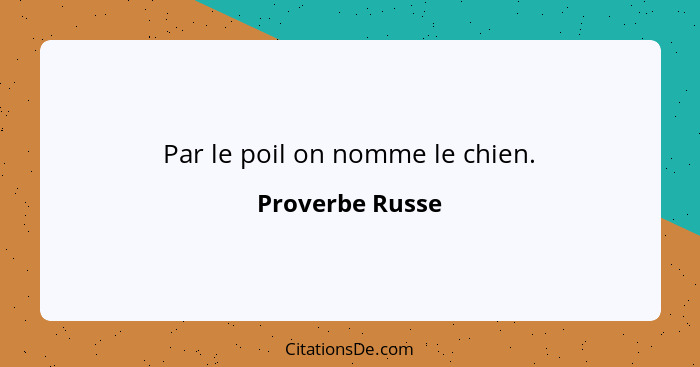 Par le poil on nomme le chien.... - Proverbe Russe