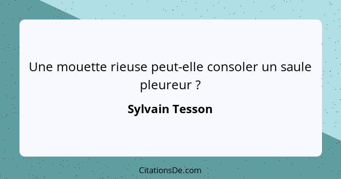 Une mouette rieuse peut-elle consoler un saule pleureur ?... - Sylvain Tesson