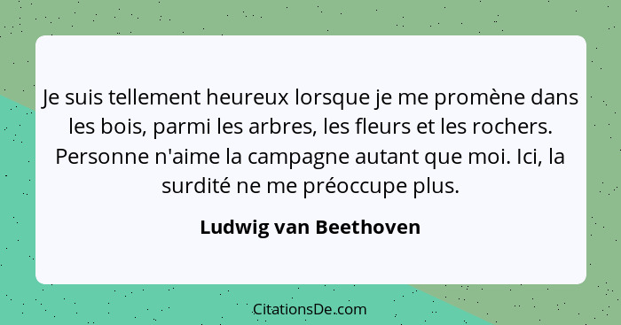 Je suis tellement heureux lorsque je me promène dans les bois, parmi les arbres, les fleurs et les rochers. Personne n'aime la... - Ludwig van Beethoven