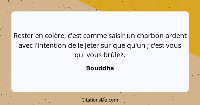 Rester en colère, c'est comme saisir un charbon ardent avec l'intention de le jeter sur quelqu'un ; c'est vous qui vous brûlez.... - Bouddha