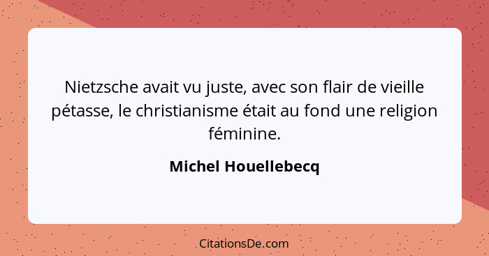 Nietzsche avait vu juste, avec son flair de vieille pétasse, le christianisme était au fond une religion féminine.... - Michel Houellebecq