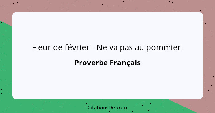 Fleur de février - Ne va pas au pommier.... - Proverbe Français