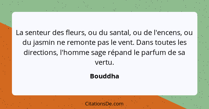 La senteur des fleurs, ou du santal, ou de l'encens, ou du jasmin ne remonte pas le vent. Dans toutes les directions, l'homme sage répand le... - Bouddha