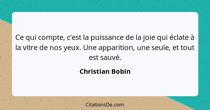 Ce qui compte, c'est la puissance de la joie qui éclate à la vitre de nos yeux. Une apparition, une seule, et tout est sauvé.... - Christian Bobin