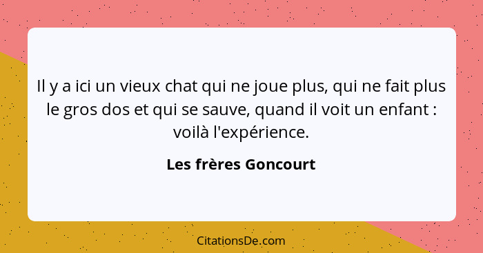 Il y a ici un vieux chat qui ne joue plus, qui ne fait plus le gros dos et qui se sauve, quand il voit un enfant : voilà l'... - Les frères Goncourt