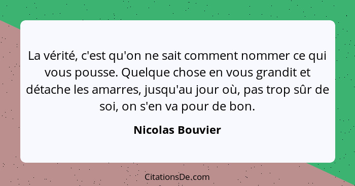 La vérité, c'est qu'on ne sait comment nommer ce qui vous pousse. Quelque chose en vous grandit et détache les amarres, jusqu'au jou... - Nicolas Bouvier