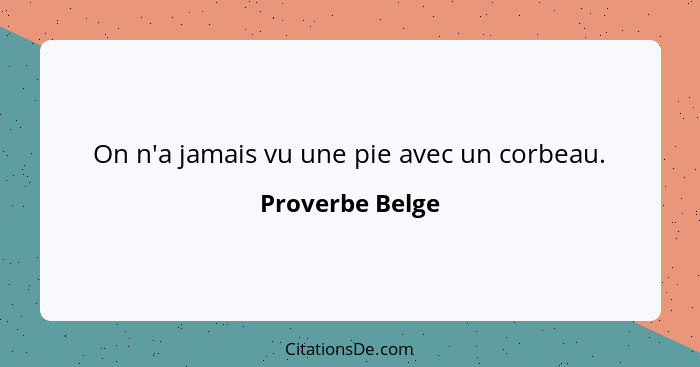 On n'a jamais vu une pie avec un corbeau.... - Proverbe Belge