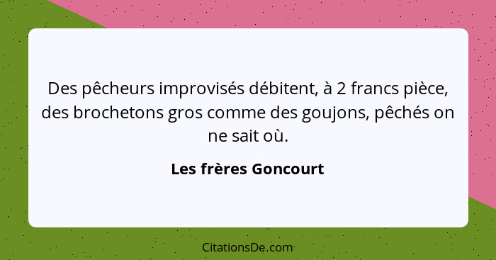 Des pêcheurs improvisés débitent, à 2 francs pièce, des brochetons gros comme des goujons, pêchés on ne sait où.... - Les frères Goncourt