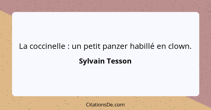 La coccinelle : un petit panzer habillé en clown.... - Sylvain Tesson