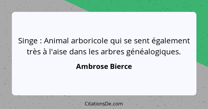 Singe : Animal arboricole qui se sent également très à l'aise dans les arbres généalogiques.... - Ambrose Bierce