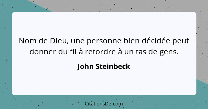 Nom de Dieu, une personne bien décidée peut donner du fil à retordre à un tas de gens.... - John Steinbeck