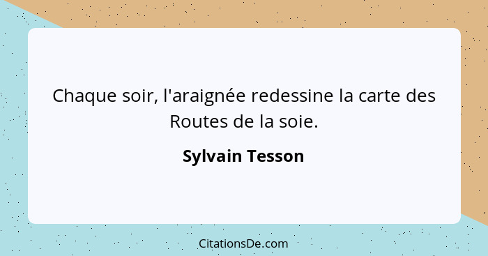 Chaque soir, l'araignée redessine la carte des Routes de la soie.... - Sylvain Tesson