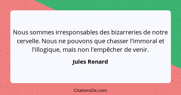 Nous sommes irresponsables des bizarreries de notre cervelle. Nous ne pouvons que chasser l'immoral et l'illogique, mais non l'empêcher... - Jules Renard