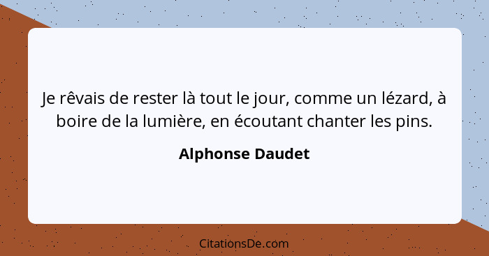 Je rêvais de rester là tout le jour, comme un lézard, à boire de la lumière, en écoutant chanter les pins.... - Alphonse Daudet