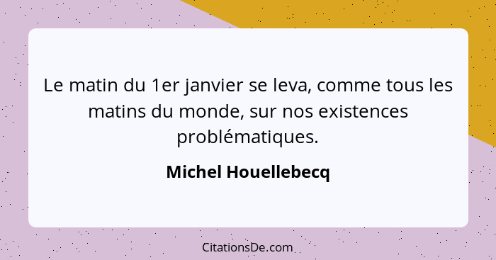 Le matin du 1er janvier se leva, comme tous les matins du monde, sur nos existences problématiques.... - Michel Houellebecq