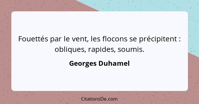 Fouettés par le vent, les flocons se précipitent : obliques, rapides, soumis.... - Georges Duhamel