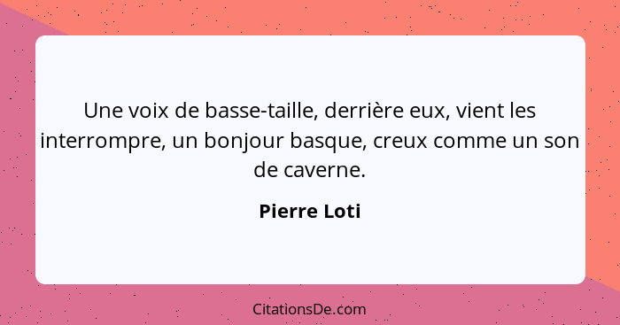 Une voix de basse-taille, derrière eux, vient les interrompre, un bonjour basque, creux comme un son de caverne.... - Pierre Loti