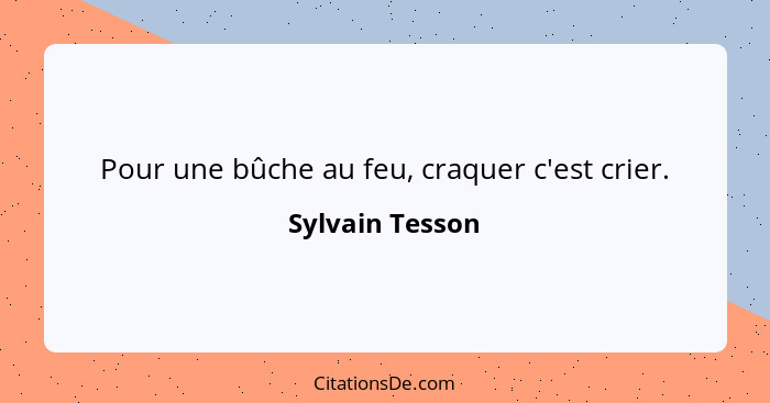 Pour une bûche au feu, craquer c'est crier.... - Sylvain Tesson