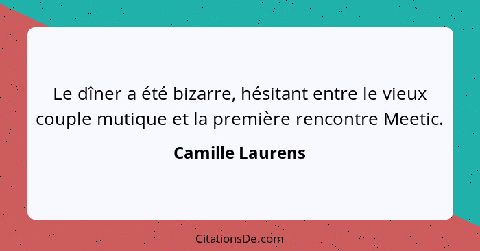 Le dîner a été bizarre, hésitant entre le vieux couple mutique et la première rencontre Meetic.... - Camille Laurens