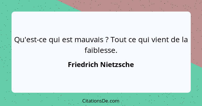 Qu'est-ce qui est mauvais ? Tout ce qui vient de la faiblesse.... - Friedrich Nietzsche