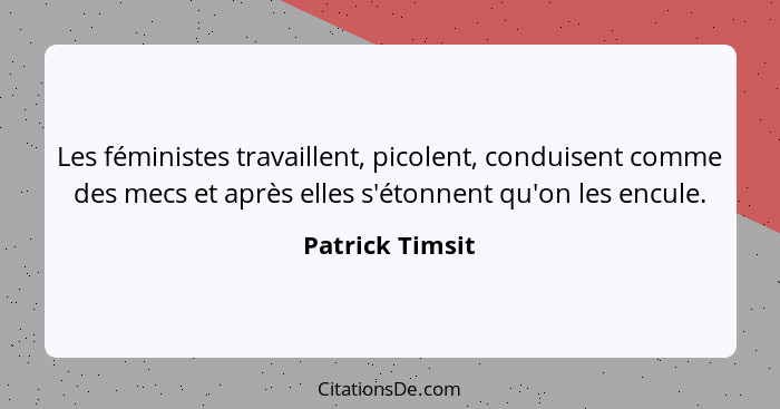 Les féministes travaillent, picolent, conduisent comme des mecs et après elles s'étonnent qu'on les encule.... - Patrick Timsit