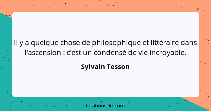 Il y a quelque chose de philosophique et littéraire dans l'ascension : c'est un condensé de vie incroyable.... - Sylvain Tesson