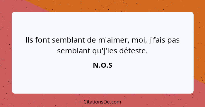 Ils font semblant de m'aimer, moi, j'fais pas semblant qu'j'les déteste.... - N.O.S