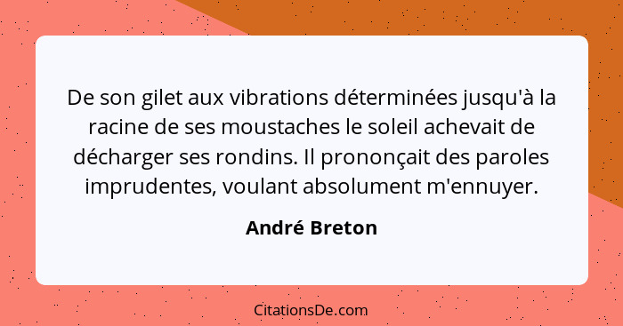 De son gilet aux vibrations déterminées jusqu'à la racine de ses moustaches le soleil achevait de décharger ses rondins. Il prononçait... - André Breton