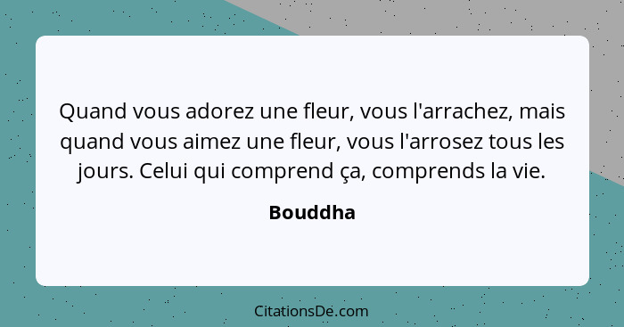 Quand vous adorez une fleur, vous l'arrachez, mais quand vous aimez une fleur, vous l'arrosez tous les jours. Celui qui comprend ça, compren... - Bouddha