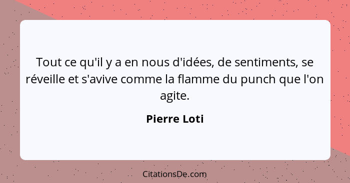 Tout ce qu'il y a en nous d'idées, de sentiments, se réveille et s'avive comme la flamme du punch que l'on agite.... - Pierre Loti