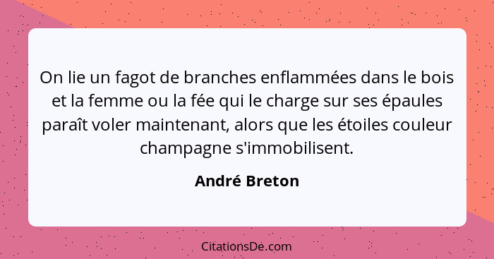 On lie un fagot de branches enflammées dans le bois et la femme ou la fée qui le charge sur ses épaules paraît voler maintenant, alors... - André Breton