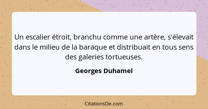 Un escalier étroit, branchu comme une artère, s'élevait dans le milieu de la baraque et distribuait en tous sens des galeries tortue... - Georges Duhamel