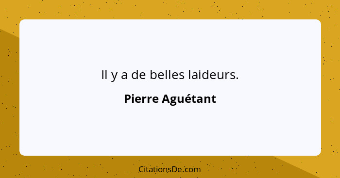 Il y a de belles laideurs.... - Pierre Aguétant