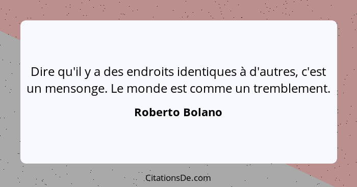 Dire qu'il y a des endroits identiques à d'autres, c'est un mensonge. Le monde est comme un tremblement.... - Roberto Bolano