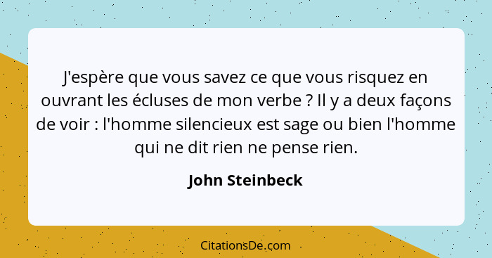 J'espère que vous savez ce que vous risquez en ouvrant les écluses de mon verbe ? Il y a deux façons de voir : l'homme sile... - John Steinbeck
