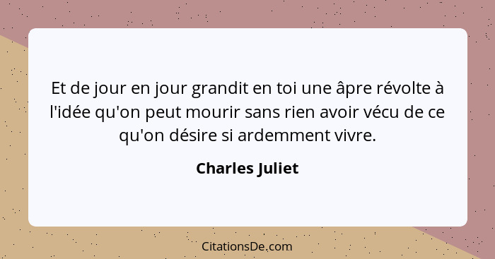 Et de jour en jour grandit en toi une âpre révolte à l'idée qu'on peut mourir sans rien avoir vécu de ce qu'on désire si ardemment vi... - Charles Juliet