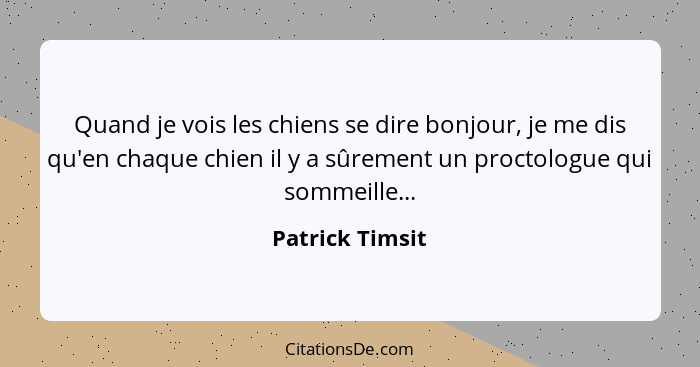 Quand je vois les chiens se dire bonjour, je me dis qu'en chaque chien il y a sûrement un proctologue qui sommeille...... - Patrick Timsit