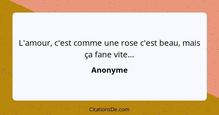 L'amour, c'est comme une rose c'est beau, mais ça fane vite...... - Anonyme