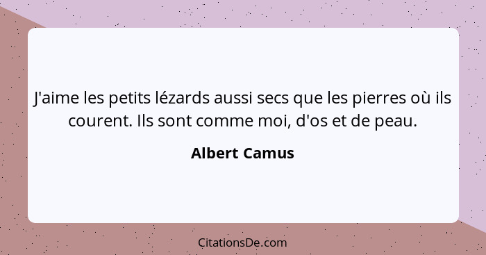 J'aime les petits lézards aussi secs que les pierres où ils courent. Ils sont comme moi, d'os et de peau.... - Albert Camus
