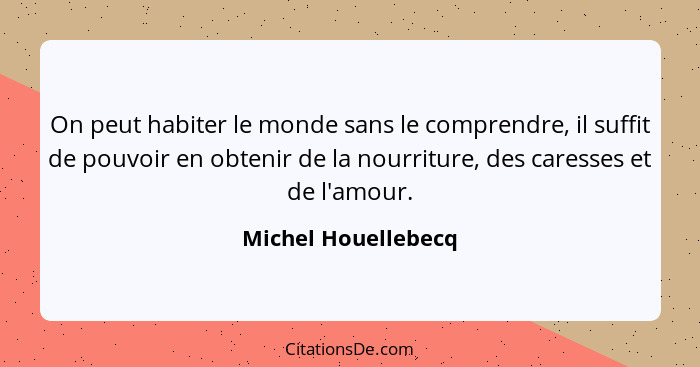 On peut habiter le monde sans le comprendre, il suffit de pouvoir en obtenir de la nourriture, des caresses et de l'amour.... - Michel Houellebecq