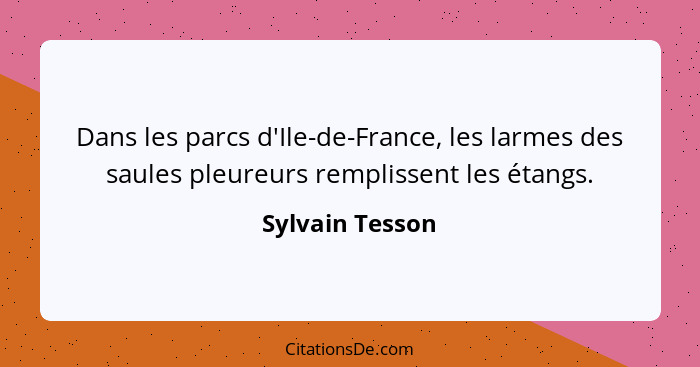 Dans les parcs d'Ile-de-France, les larmes des saules pleureurs remplissent les étangs.... - Sylvain Tesson