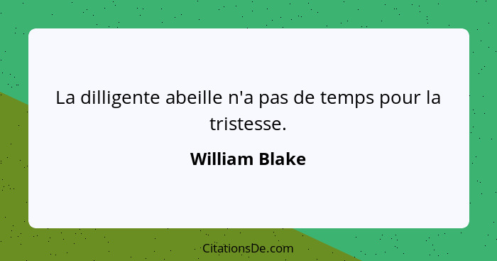 La dilligente abeille n'a pas de temps pour la tristesse.... - William Blake