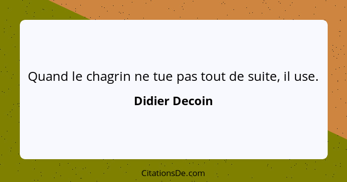 Quand le chagrin ne tue pas tout de suite, il use.... - Didier Decoin