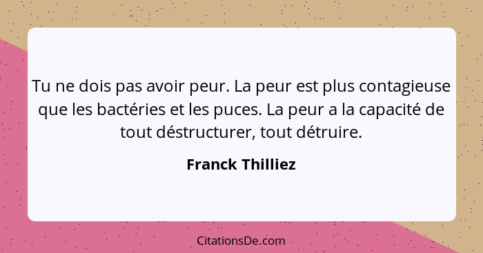 Tu ne dois pas avoir peur. La peur est plus contagieuse que les bactéries et les puces. La peur a la capacité de tout déstructurer,... - Franck Thilliez