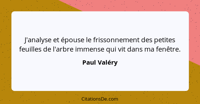 J'analyse et épouse le frissonnement des petites feuilles de l'arbre immense qui vit dans ma fenêtre.... - Paul Valéry