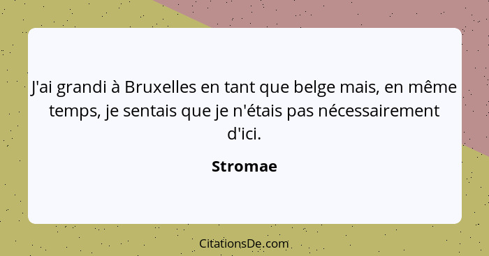 J'ai grandi à Bruxelles en tant que belge mais, en même temps, je sentais que je n'étais pas nécessairement d'ici.... - Stromae