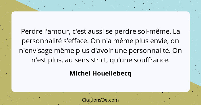 Perdre l'amour, c'est aussi se perdre soi-même. La personnalité s'efface. On n'a même plus envie, on n'envisage même plus d'avoir... - Michel Houellebecq