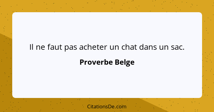 Il ne faut pas acheter un chat dans un sac.... - Proverbe Belge